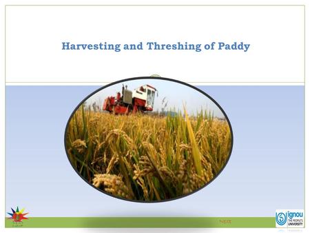 Harvesting and Threshing of Paddy Next. Introduction Cutting: cutting the panicles and straw. Harvesting and Threshing of Paddy Harvesting is the process.