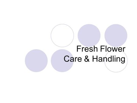 Fresh Flower Care & Handling. Care and Handling Vase Life-length of time flowers remain beautiful Senescence-flower death.