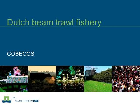 Dutch beam trawl fishery COBECOS. Beam trawl fleet Beam trawlers > 1500 HP Fishing outside 12 mile zone in the North Sea Target species: flatfish (sole.