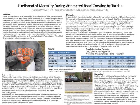 Likelihood of Mortality During Attempted Road Crossing by Turtles Nathan Weaver- B.S. Wildlife and Fisheries Biology, Clemson University Introduction :