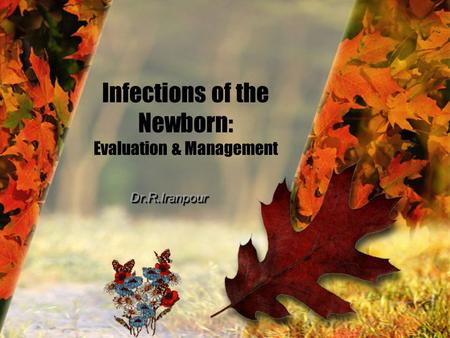 Infections of the Newborn: Evaluation & Management.