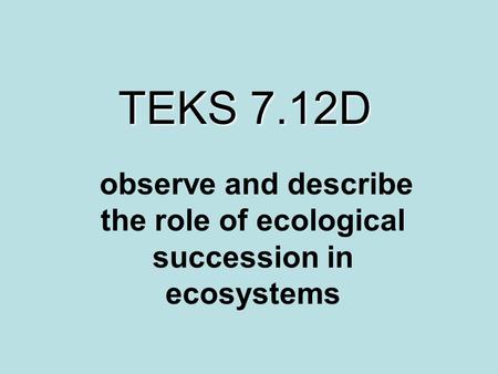 TEKS 7.12D observe and describe the role of ecological succession in ecosystems.