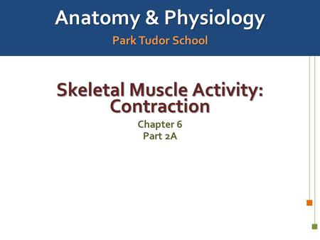 Skeletal Muscle Activity: Contraction
