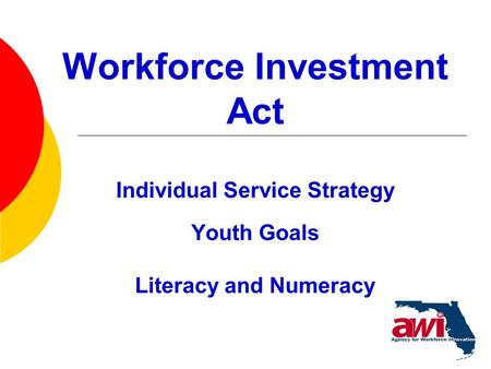 1 Workforce Investment Act Individual Service Strategy Youth Goals Literacy and Numeracy.