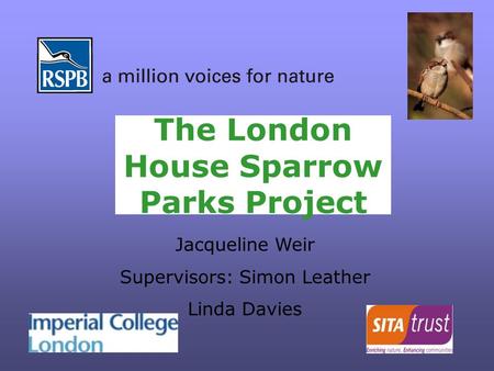 The London House Sparrow Parks Project Jacqueline Weir Supervisors: Simon Leather Linda Davies.