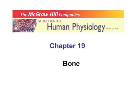 Chapter 19 Bone. A. Endocrine Control of Ca 2+ & PO 4 3-  __________________, 1,25-dihydoxy Vit D, & calcitonin control Ca 2+ and P0 4 3- levels & activities.