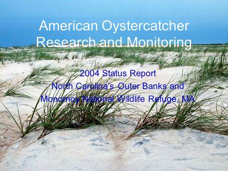American Oystercatcher Research and Monitoring 2004 Status Report North Carolina’s Outer Banks and Monomoy National Wildlife Refuge, MA.