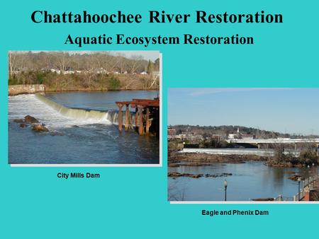 Chattahoochee River Restoration Aquatic Ecosystem Restoration City Mills Dam Eagle and Phenix Dam.