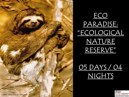 ECO PARADISE: “ECOLOGICAL NATURE RESERVE” 05 DAYS / 04 NIGHTS Crédito: Heinz Plenge / Promperu.