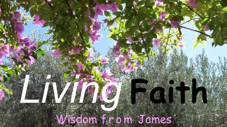 Living Faith Wisdom from James. James, the writer - who was he? The brother of Jesus.