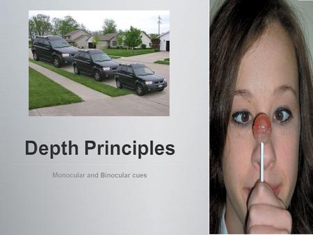Monocular and Binocular cues