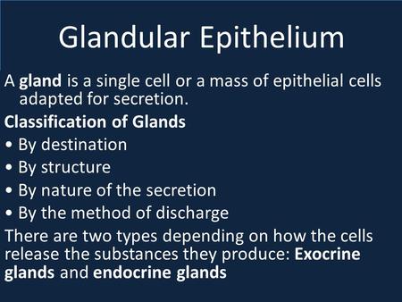 Glandular Epithelium A gland is a single cell or a mass of epithelial cells adapted for secretion. Classification of Glands • By destination • By structure.