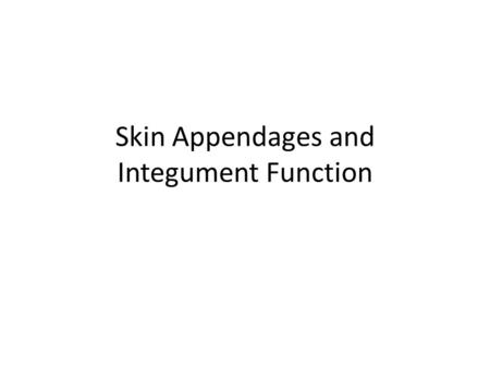 Skin Appendages and Integument Function What are the major appendages of the skin? Sweat glands Sebaceous glands Hairs Nails.