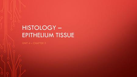 Histology – Epithelium Tissue