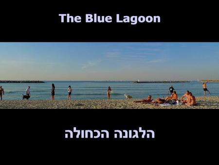 The Blue Lagoon הלגונה הכחולה. The Blue Lagoon הלגונה הכחולה חורף בתל אביב Winter in Tel Aviv.
