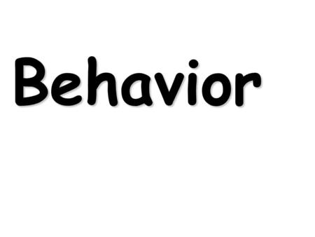 Behavior. Animal behavior is actually the product of genes modified by the environment.