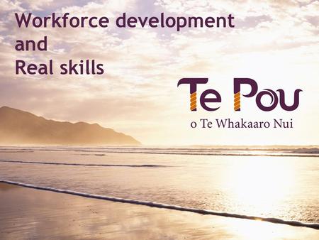 Workforce development and Real skills. What is workforce development?  Right people  Right place  Right time  Doing the right thing.