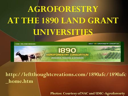 AGROFORESTRY AT THE 1890 LAND GRANT UNIVERSITIES  _home.htm Photos: Courtesy of NAC and UMC-Agroforesrty.