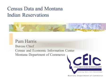 1 Census Data and Montana Indian Reservations Pam Harris Bureau Chief Census and Economic Information Center Montana Department of Commerce.