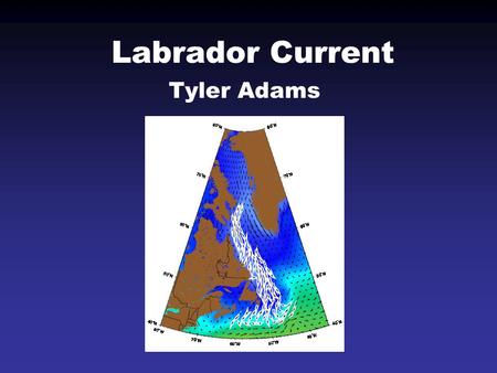 Labrador Current Tyler Adams. Geographically Fed from the north by the Baffin Current Follows the Labrador coast to the Grand Banks Splits at Hamilton.