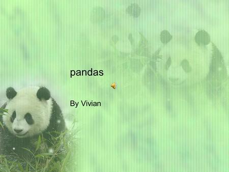 pandas By Vivian Panda facts Pandas are adorable creatures. They live in China and eat bamboo. There habitat has lots of leaves. When a mother panda.