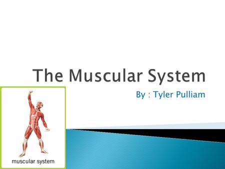 By : Tyler Pulliam. Hello my name is Tyler Pulliam and I will be showing you about my body system which is the muscular system. I will be telling information,