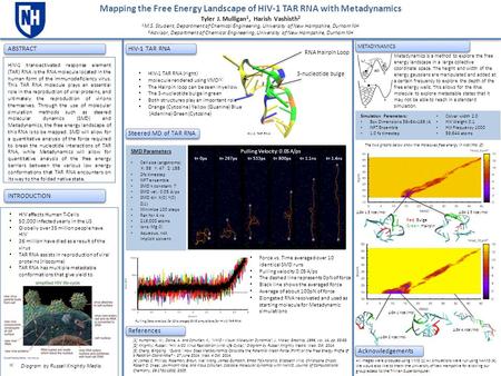 Mapping the Free Energy Landscape of HIV-1 TAR RNA with Metadynamics Tyler J. Mulligan 1, Harish Vashisth 2 1 M.S. Student, Department of Chemical Engineering,