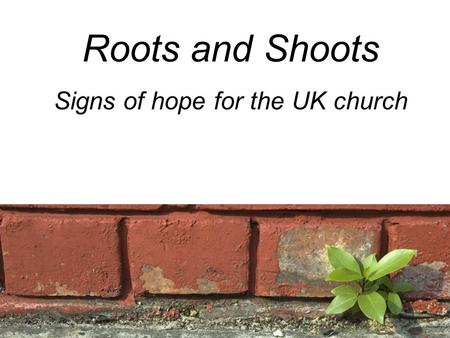 Roots and Shoots Signs of hope for the UK church.