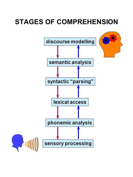 STAGES OF COMPREHENSION discourse modelling semantic analysis syntactic “parsing” lexical access phonemic analysis sensory processing.