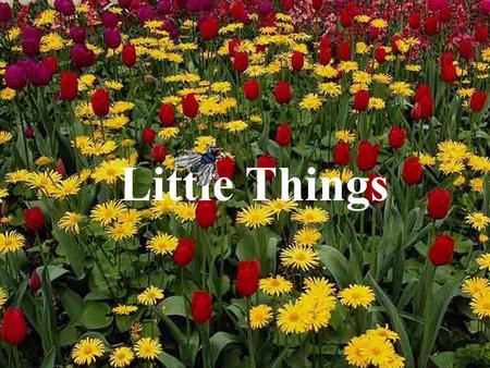 Little Things. The little things in life are as important as others. We often don’t realize what we have until it’s gone. We sometimes treasure what we.