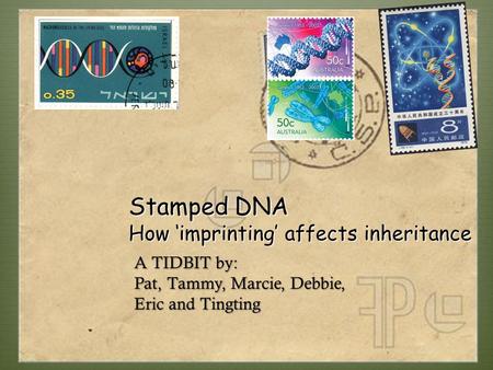 A TIDBIT by: Pat, Tammy, Marcie, Debbie, Eric and Tingting Stamped DNA How ‘imprinting’ affects inheritance.