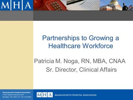 Partnerships to Growing a Healthcare Workforce Patricia M. Noga, RN, MBA, CNAA Sr. Director, Clinical Affairs.