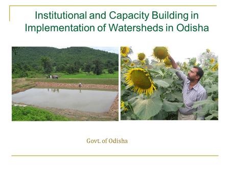 Govt. of Odisha Institutional and Capacity Building in Implementation of Watersheds in Odisha.