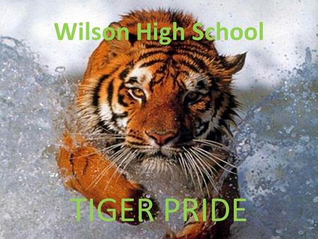 Wilson High School TIGER PRIDE. 2012-2013 School Year Woodrow Wilson High School The State of Our School.