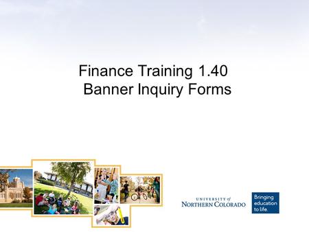 Finance Training 1.40 Banner Inquiry Forms. Training Level – What you need to know This training is a Level 1 course for users who are just beginning.