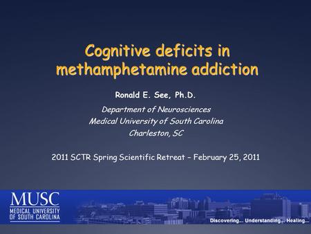 Cognitive deficits in methamphetamine addiction Ronald E. See, Ph.D. Department of Neurosciences Medical University of South Carolina Charleston, SC 2011.