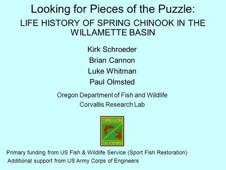Looking for Pieces of the Puzzle: LIFE HISTORY OF SPRING CHINOOK IN THE WILLAMETTE BASIN Kirk Schroeder Brian Cannon Luke Whitman Paul Olmsted Oregon Department.