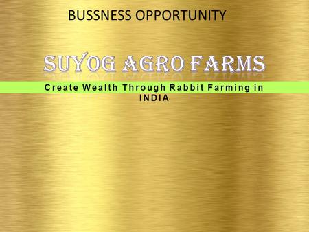 Create Wealth Through Rabbit Farming in INDIA