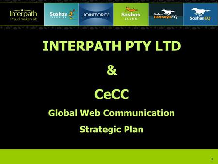 1 INTERPATH PTY LTD & CeCC Global Web Communication Strategic Plan.