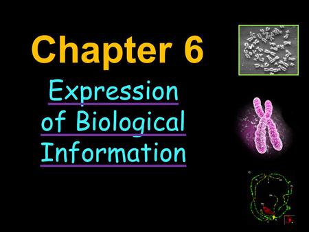 Expression of Biological Information