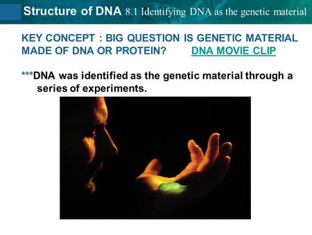 8.1 Identifying DNA as the genetic material