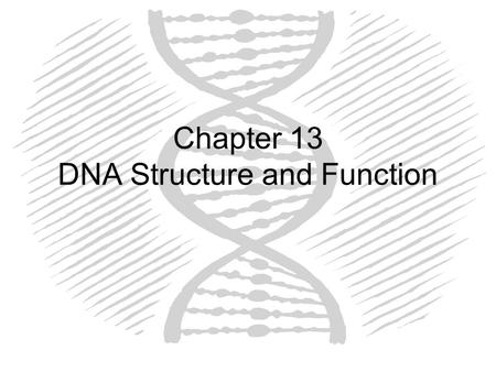 Chapter 13 DNA Structure and Function