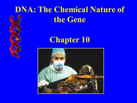 DNA: The Chemical Nature of the Gene Chapter 10. Chapter 10: Lecture Outline Historical perspective DNA structure RNA structure.