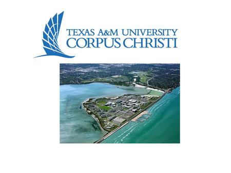 Welcome to TAMUCC We are happy to know that you have chosen to attend Texas A&M University – Corpus Christi. The information that follows is intended to.