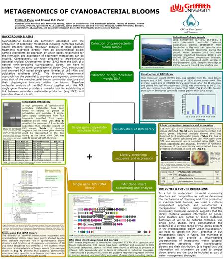 METAGENOMICS OF CYANOBACTERIAL BLOOMS Phillip B Pope and Bharat K.C. Patel Microbial Gene Research and Resources Facility, School of Biomolecular and Biomedical.