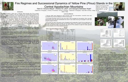 Fire Regimes and Successional Dynamics of Yellow Pine (Pinus) Stands in the Central Appalachian Mountains Henri D. Grissino-Mayer¹, Charles W. Lafon²,