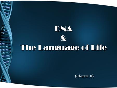 DNA & The Language of Life (Chapter 11). Griffith’s Transformation Experiment 1928 – Frederick Griffith is studying how certain strains of bacteria cause.