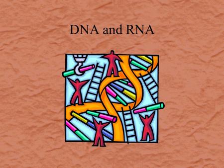 DNA and RNA. Genes are made of DNA Griffith’s “Transforming Factor” Is the Genetic Material Avery Shows DNA Is the Transforming Factor Virus Experiments.