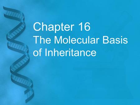 Chapter 16 The Molecular Basis of Inheritance. Question? Traits are inherited on chromosomes, but what in the chromosomes is the genetic material? Two.