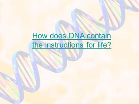 How does DNA contain the instructions for life?. Griffith demonstrates Transformation Griffith experimented with the bacteria that cause pneumonia. He.